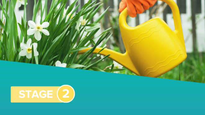 Image showing hand watering shrubs indicating stage 2 water restrictions