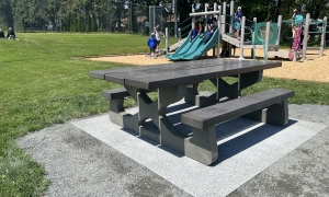 Photo showing a new accessible picnic table with a playground in the background