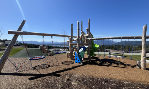 A photo showing the accessible swing set at Seablush Park